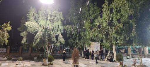 عکس امامزادگان احمد بن قاسم و فاطمه خاتون (ع)