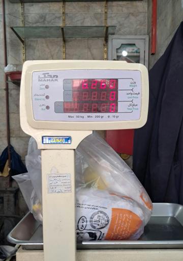 عکس مرغ و ماهی وطن ( حاجی ابراهیمی )