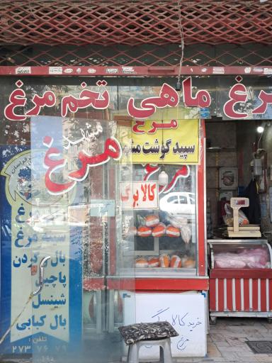 عکس مرغ و ماهی وطن ( حاجی ابراهیمی )