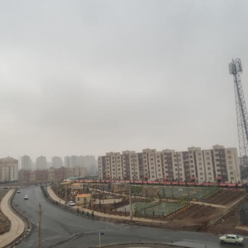 عکس بوستان زیتون