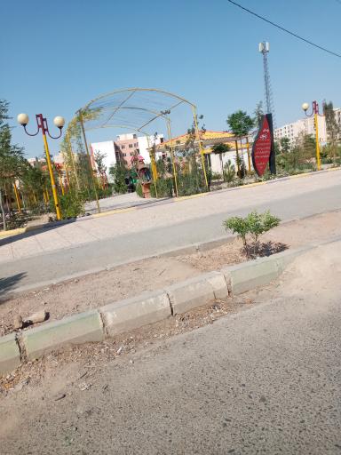 عکس بوستان زیتون