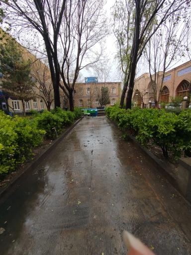 مدرسه طالبیه