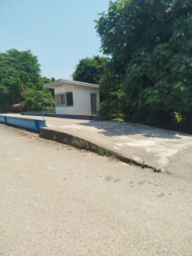 عکس باسکول ۶۰ تنی لاکدشتی