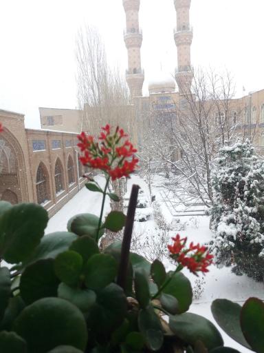 عکس مدرسه طالبیه