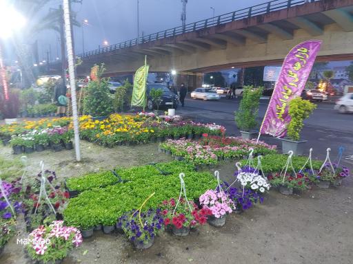 عکس بازارچه گل و گیاه اسکندر 