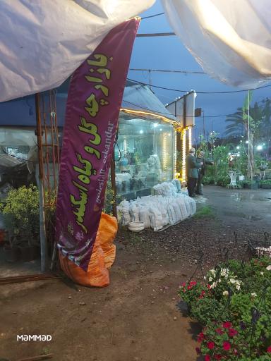 عکس بازارچه گل و گیاه اسکندر 