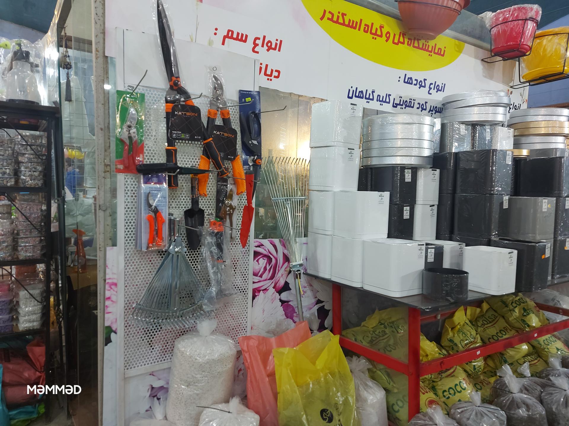 عکس بازارچه گل و گیاه اسکندر 