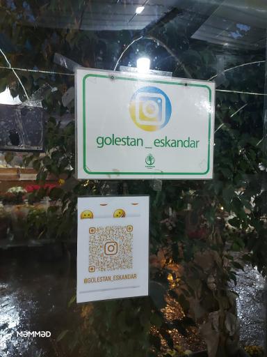 بازارچه گل و گیاه اسکندر 