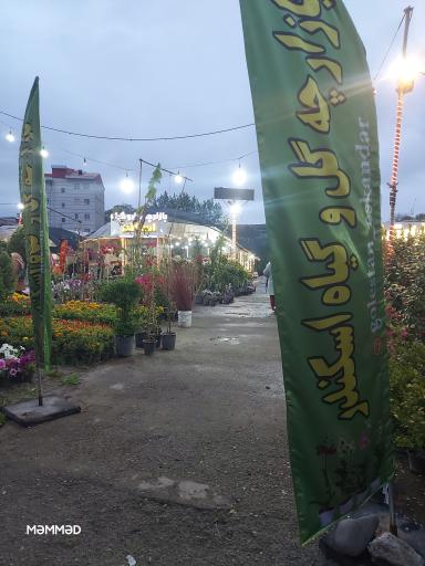 عکس بازارچه گل و گیاه اسکندر 