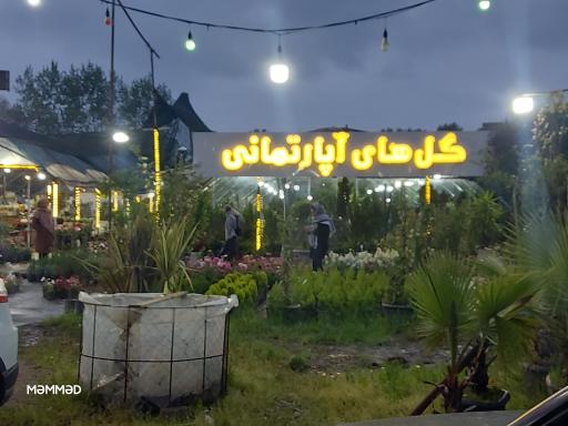 بازارچه گل و گیاه اسکندر 