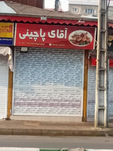 عکس آقای پاچینی