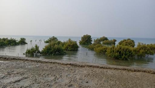 عکس اسکله درگهان