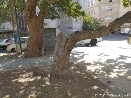 عکس بوستان کوشان