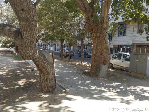 عکس بوستان کوشان