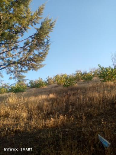 عکس پارک جنگلی کشاورز