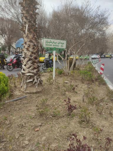 عکس میدان بهار شیراز