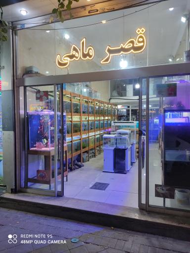 عکس آکواریوم قصر ماهی