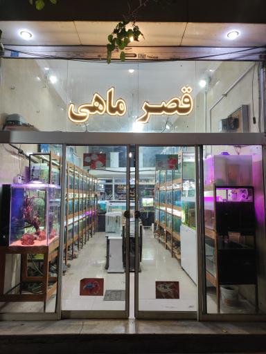 عکس آکواریوم قصر ماهی