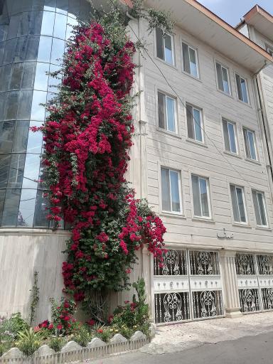 عکس ساختمان صدف