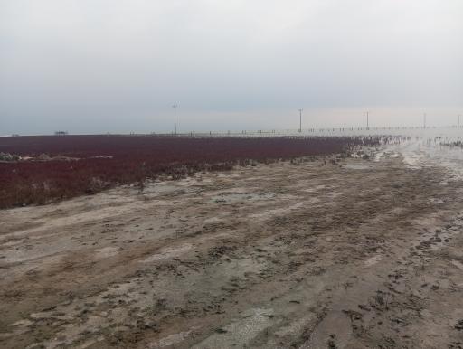 عکس اسکله‌ تفریحی بندر ترکمن