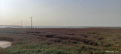 عکس اسکله‌ تفریحی بندر ترکمن