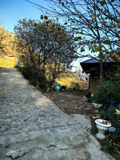 عکس رستوران ننه خدیجه