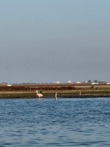 عکس اسکله‌ تفریحی بندر ترکمن