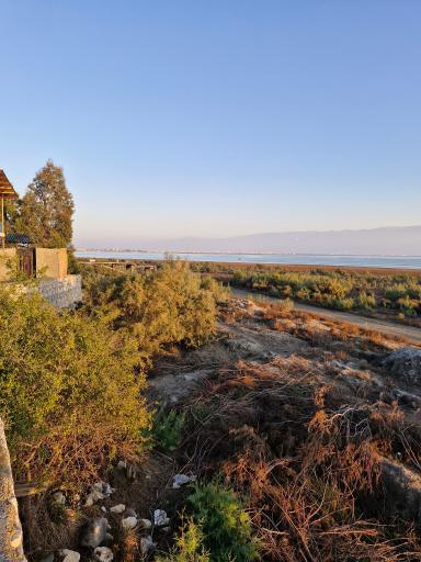 عکس اسکله‌ تفریحی بندر ترکمن