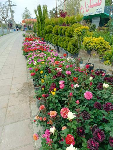 عکس گلستان ارم
