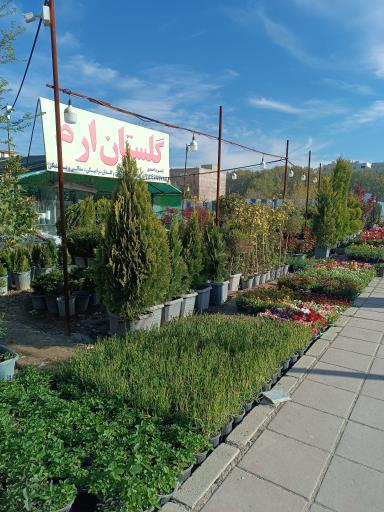 عکس گلستان ارم