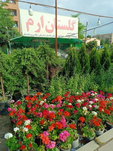 عکس گلستان ارم