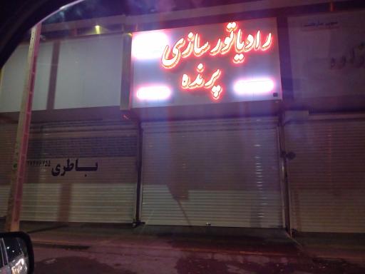 عکس رادیاتور سازی پرنده