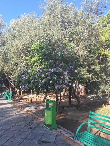 عکس بوستان پاسدار گمنام