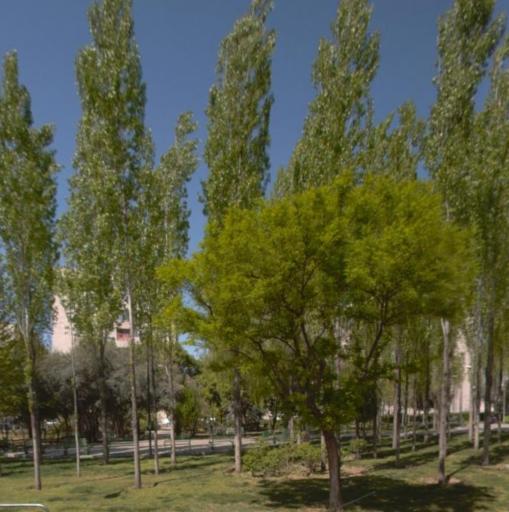 عکس بوستان پاسدار گمنام