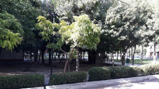 عکس بوستان پاسدار گمنام
