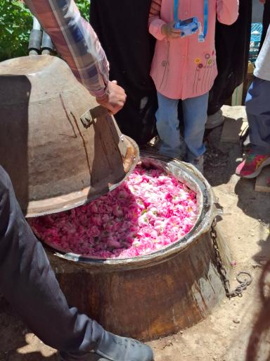 عکس مجموعه گنجینه نگین مرق 