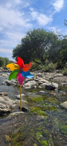 رودخانه کرج