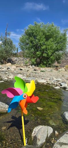 رودخانه کرج