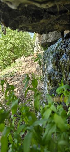 رودخانه کرج