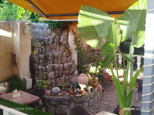 عکس کافه رستوران ماهی جنوب