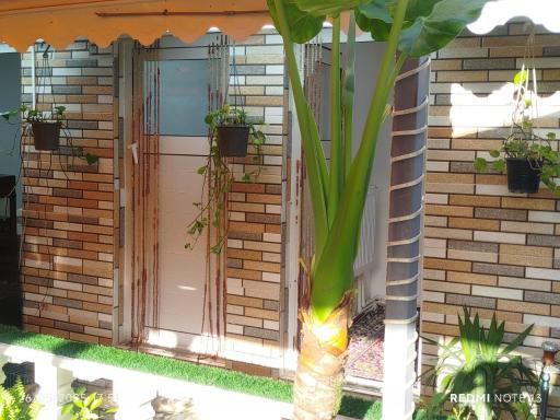 عکس کافه رستوران ماهی جنوب