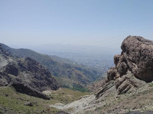 عکس اوسون