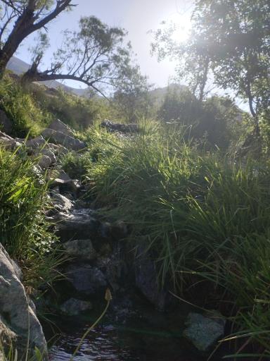 عکس اوسون