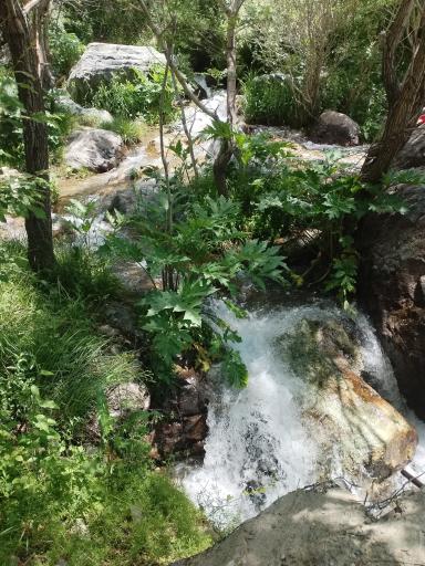 عکس اوسون