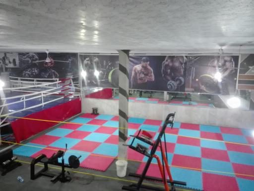 عکس باشگاه رزمیکاران 3