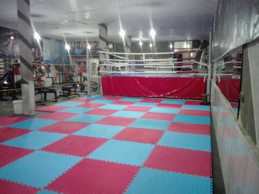 عکس باشگاه رزمیکاران 3