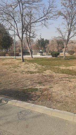 عکس سرویس بهداشتی