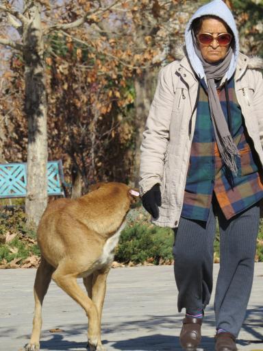 عکس بوستان مهر