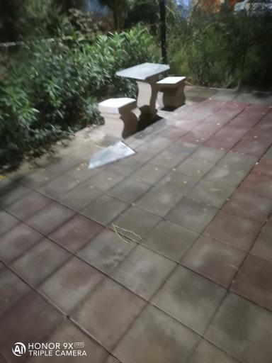 عکس بوستان بهاران