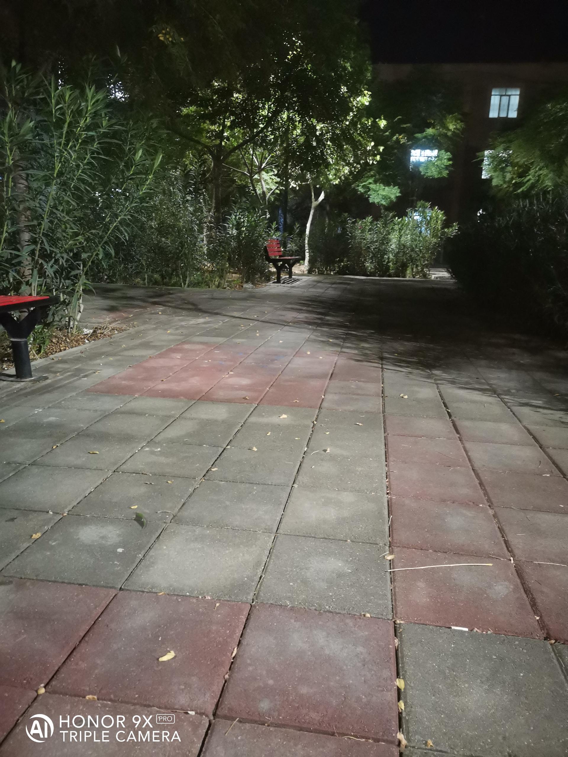 عکس بوستان بهاران